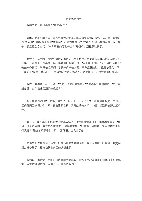 功夫弟弟作文