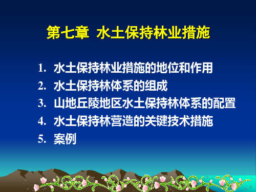 水土保持林业措施(1)
