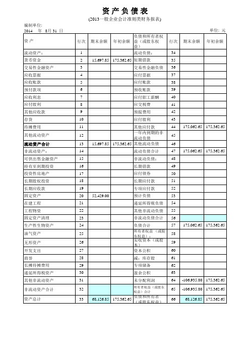 (2013一般企业会计准则类财务报表)