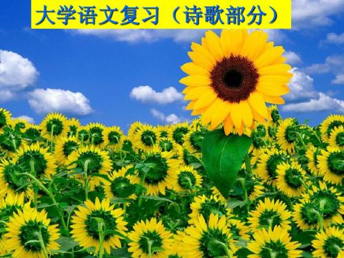 大学语文复习(诗歌和小说部分