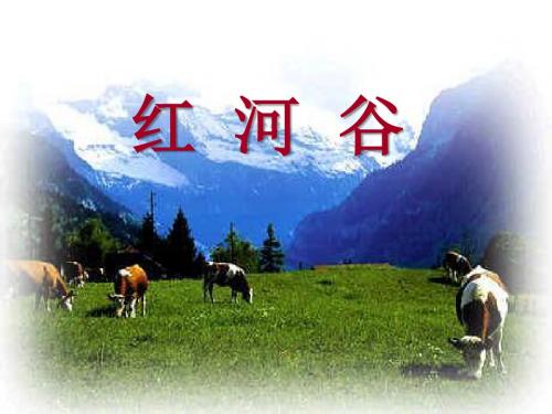 红河谷 PPT优秀课件3