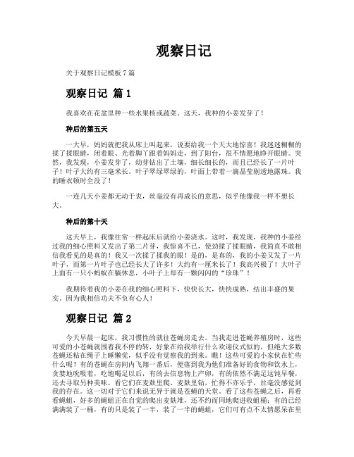 观察日记2