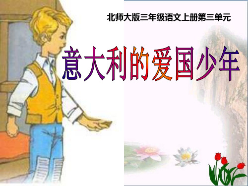 人教版《意大利的爱国少年》2教育课件