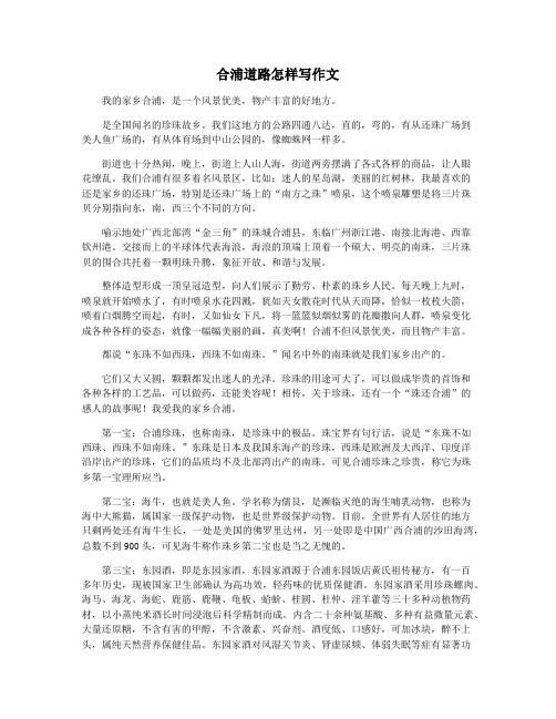 合浦道路怎样写作文