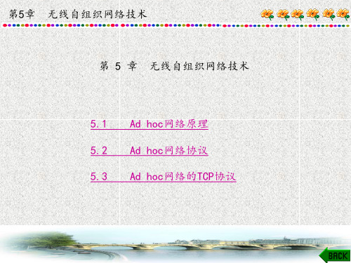 短距离无线通信及组网技术(孙弋)章 (5)