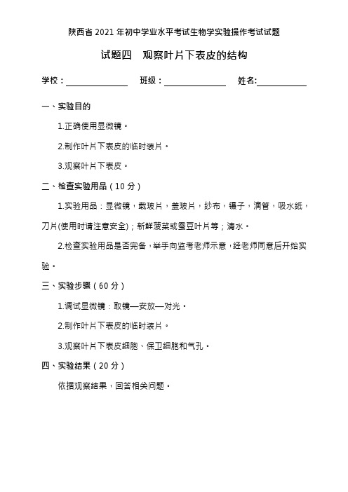 观察叶片下表皮的结构