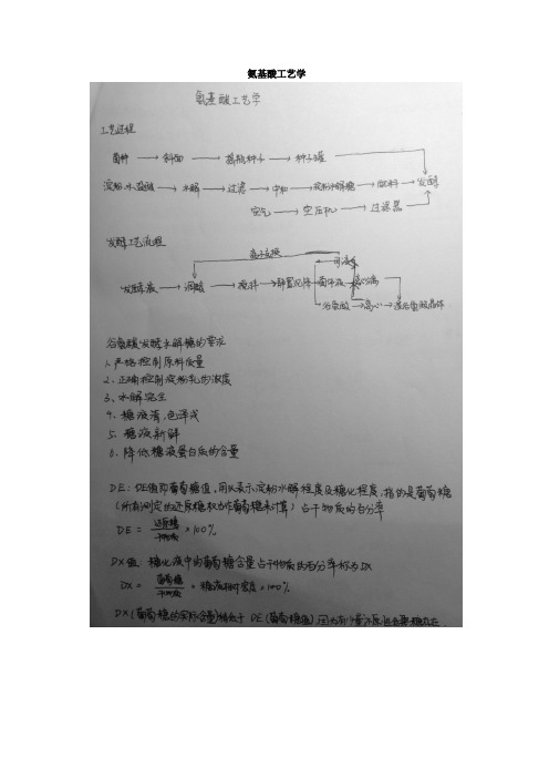 氨基酸工艺学