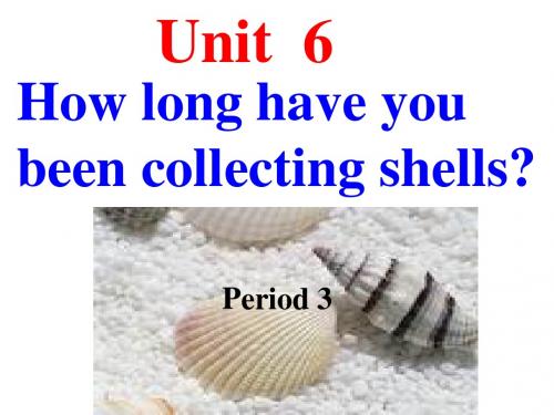 鲁教版期八年级上册 Unit6 How long have you been collecting shells (2) PPT课件