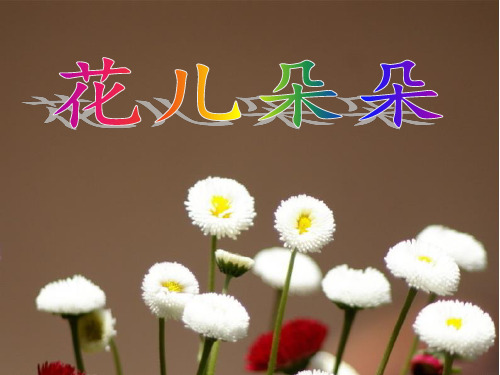 四年级上册美术课件-第六课 花儿朵朵 ︳湘美版(2014秋)(共17张PPT)