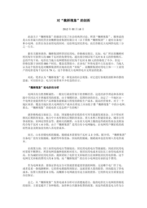 对“魏桥现象”的剖析
