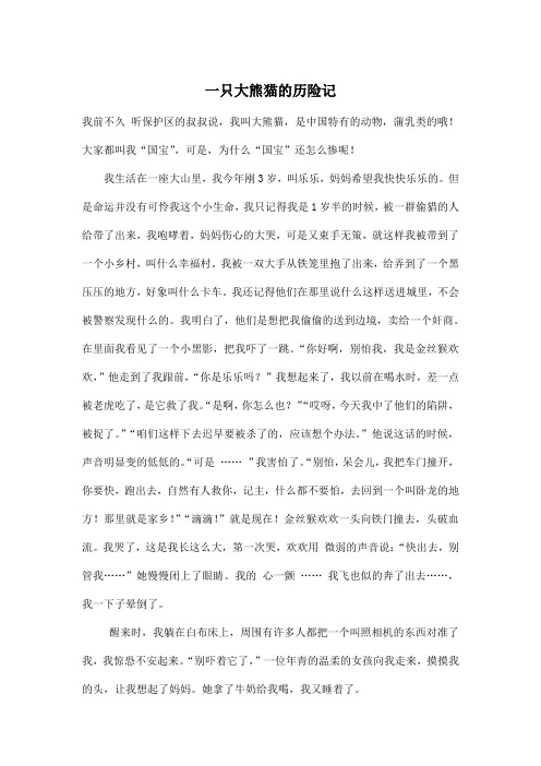 一只大熊猫的历险记_小学六年级作文1200字