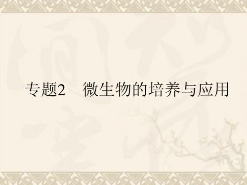 高考生物一轮复习 专题2 微生物的培养与应用课件 新人教版选修1