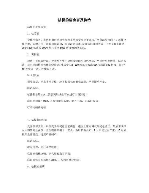 桔梗的病虫害及防治