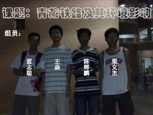 课题青藏铁路及其环境影响.ppt