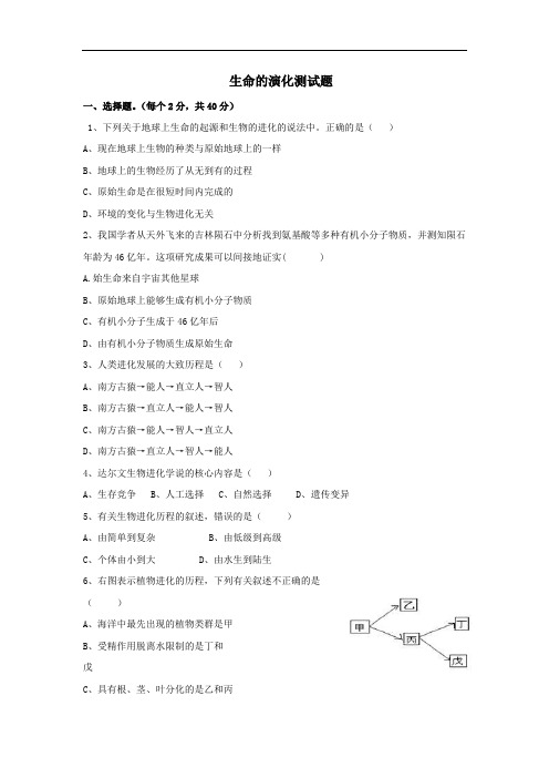 中考生物《生命的演化》专题复习与答案