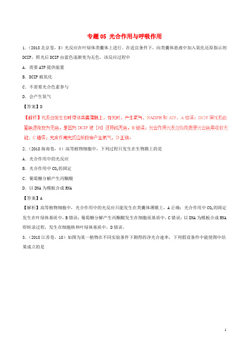 三年高考2020高考生物试题分项版解析 专题05 光合作用与呼吸作用(含解析)