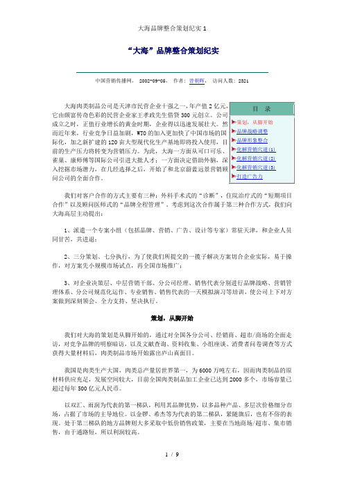 大海品牌整合策划纪实1