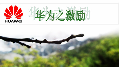华为的绩效管理全解