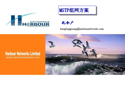MSTP组网方案