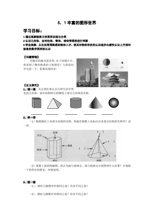 丰富的图形世界学案