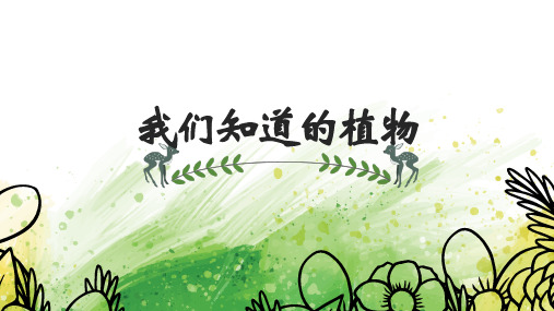 一年级科学上册课件1.1我们知道的植物 教科版