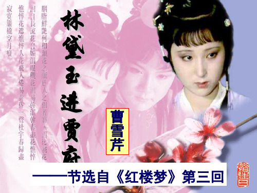 (新)人教版高中语文必修三第1课《林黛玉进贾府》极品课件(共105张PPT)