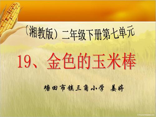 (湘教版二年级语文)金色的玉米棒