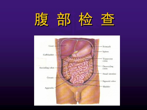 健康评估 腹部检查