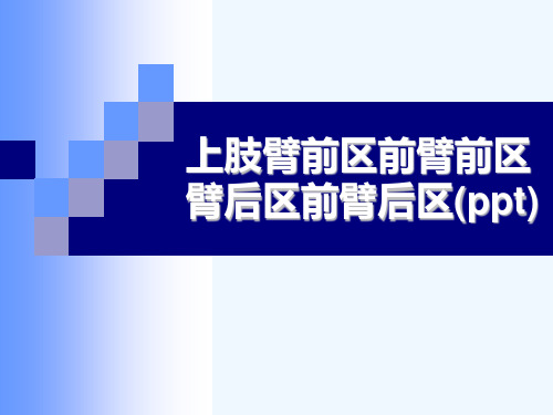 上肢臂前区前臂前区臂后区前臂后区(ppt)