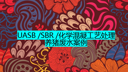 UASB_SBR_化学混凝工艺处理养猪废水案例