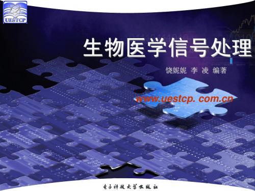 目录