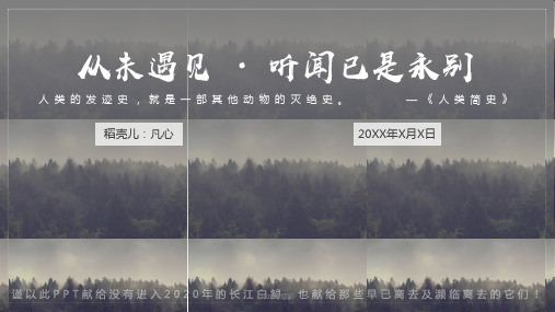 保护濒临灭绝动物讲解PPT课件(完美版)