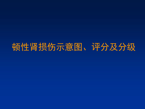 钝性肾损伤示意图、评分及分级