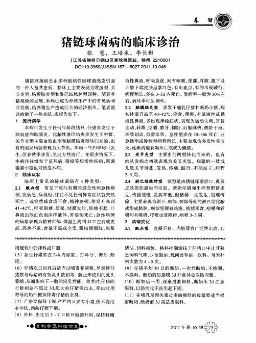 猪链球菌病的临床诊治