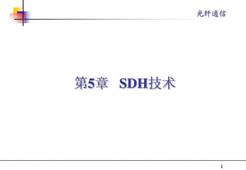 SDH技术