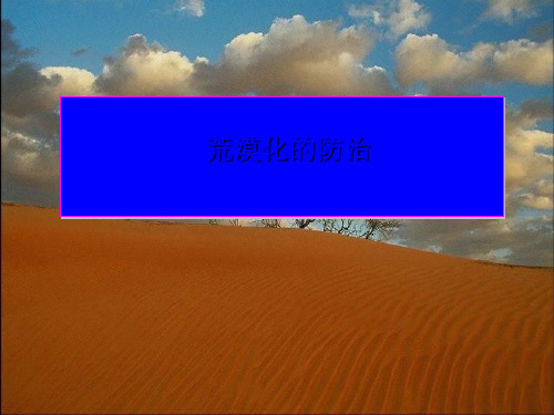 浅谈荒漠化的治理(ppt 26页)