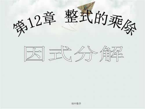 华师大版八级数学上册课件：12.5  因式分解 (共17张PPT)