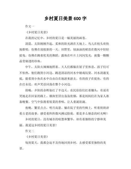 乡村夏日美景600字