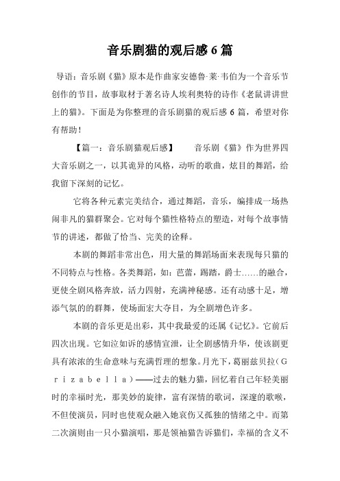 音乐剧猫的观后感6篇