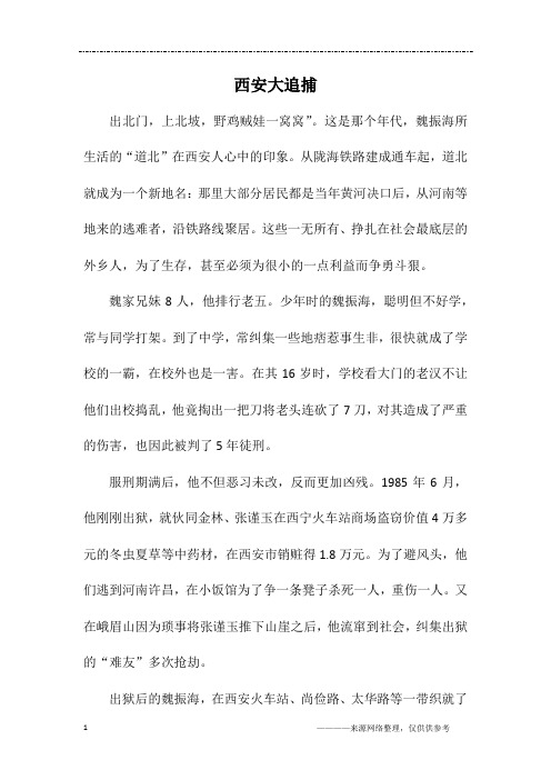 西安大追捕