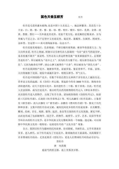 国色天香压群芳 牡丹