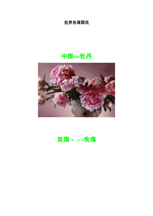 世界各国国花分析