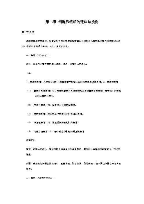 病理学第二章