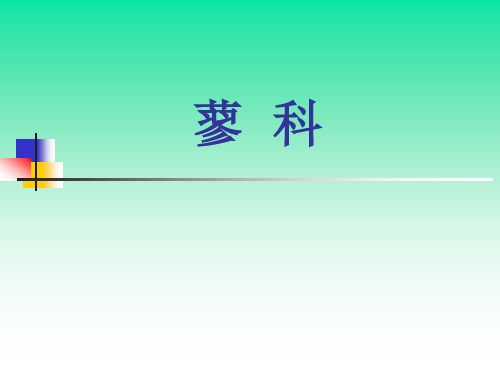 蓼科