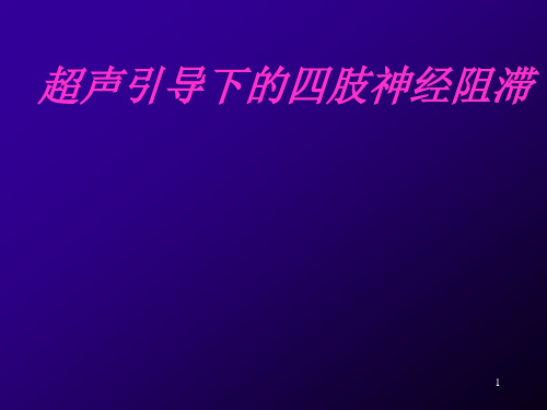 超声引导下的四肢神经阻滞PPT参考课件