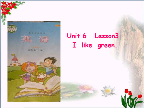 最新三年级英语上册 Unit 6 Lesson 3 I Like Green3 鲁科版优选教学课件