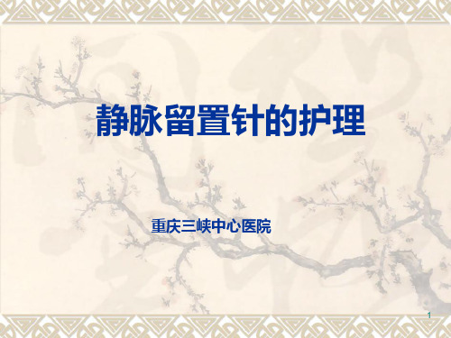 静脉留置针的护理PPT课件