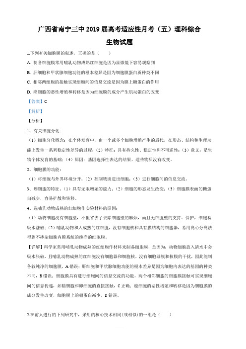 广西省南宁三中2019届高三高考适应性月考(五)理科综合生物试卷 含答案解析