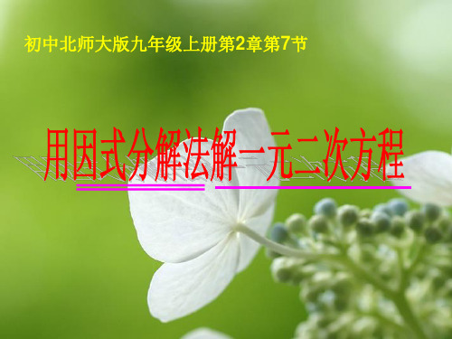 九年级数学      用因式分解法解一元二次方程