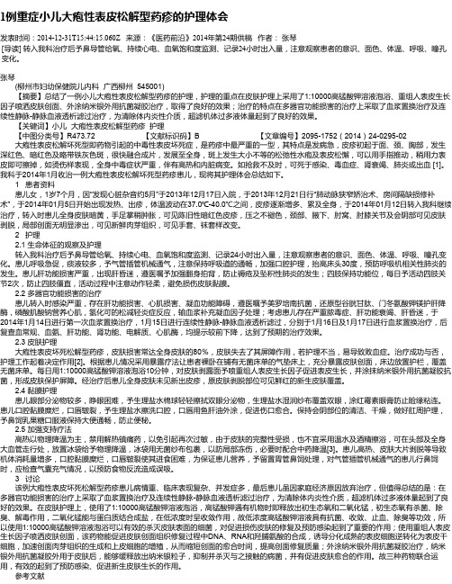 1例重症小儿大疱性表皮松解型药疹的护理体会